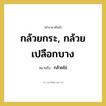 กล้วยไข่ คำราชาศัพท์คือ?, หมายถึง กล้วยกระ, กล้วยเปลือกบาง หมวดหมู่ คำสุภาพ หมวด คำสุภาพ