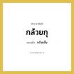 กล้วยสั้น หมายถึงอะไร?, คำราชาศัพท์ กล้วยกุ หมายถึง กล้วยสั้น หมวดหมู่ คำสุภาพ หมวด คำสุภาพ