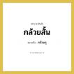 กล้วยสั้น หมายถึงอะไร?, คำราชาศัพท์ กล้วยสั้น หมายถึง กล้วยกุ หมวดหมู่ สัตว์และเบ็ดเตล็ด หมวด สัตว์และเบ็ดเตล็ด