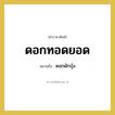 ดอกผักบุ้ง คำราชาศัพท์คือ?, หมายถึง ดอกทอดยอด หมวดหมู่ สัตว์และเบ็ดเตล็ด หมวด สัตว์และเบ็ดเตล็ด