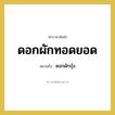 ดอกผักทอดยอด หมายถึงอะไร?, คำราชาศัพท์ ดอกผักทอดยอด หมายถึง ดอกผักบุ้ง หมวดหมู่ คำสุภาพ หมวด คำสุภาพ