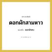 ดอกผักสามหาว หมายถึงอะไร?, คำราชาศัพท์ ดอกผักสามหาว หมายถึง ดอกผักตบ หมวดหมู่ คำสุภาพ หมวด คำสุภาพ