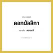 ดอกมะลิ คำราชาศัพท์คือ?, หมายถึง ดอกมัลลิกา
