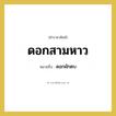 ดอกผักตบ คำราชาศัพท์คือ?, หมายถึง ดอกสามหาว หมวดหมู่ สัตว์และเบ็ดเตล็ด หมวด สัตว์และเบ็ดเตล็ด