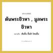 ต้นลิ้น ลิ้นไก่ โคนลิ้น คำราชาศัพท์คือ?, หมายถึง ต้นพระชิวหา , มูลพระชิวหา หมวดหมู่ ร่างกาย หมวด ร่างกาย