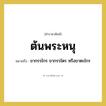 ขากรรไกร ขากรรไตร หรือขาตะไกร คำราชาศัพท์คือ?, หมายถึง ต้นพระหนุ หมวดหมู่ ร่างกาย หมวด ร่างกาย