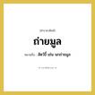ถ่ายมูล หมายถึงอะไร?, คำราชาศัพท์ ถ่ายมูล หมายถึง สัตว์ขี้ เช่น นกถ่ายมูล หมวดหมู่ สัตว์และเบ็ดเตล็ด หมวด สัตว์และเบ็ดเตล็ด