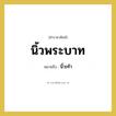 นิ้วเท้า คำราชาศัพท์คือ?, หมายถึง นิ้วพระบาท หมวดหมู่ ร่างกาย หมวด ร่างกาย