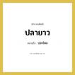 ปลาไหล คำราชาศัพท์คือ?, หมายถึง ปลายาว หมวดหมู่ อาหาร หมวด อาหาร
