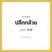ปลีกกล้วย หมายถึงอะไร?, คำราชาศัพท์ ปลีกกล้วย หมายถึง หัวปลี หมวดหมู่ สัตว์และเบ็ดเตล็ด หมวด สัตว์และเบ็ดเตล็ด