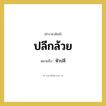 หัวปลี คำราชาศัพท์คือ?, หมายถึง ปลีกล้วย หมวดหมู่ คำสุภาพ หมวด คำสุภาพ