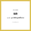 ผล หมายถึงอะไร?, คำราชาศัพท์ ผล หมายถึง ลูก (ใช้เรียกลูกไม้ทั้งปวง) หมวดหมู่ สัตว์และเบ็ดเตล็ด หมวด สัตว์และเบ็ดเตล็ด