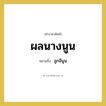 ผลนางนูน หมายถึงอะไร?, คำราชาศัพท์ ผลนางนูน หมายถึง ลูกอีนูน หมวดหมู่ สัตว์และเบ็ดเตล็ด หมวด สัตว์และเบ็ดเตล็ด