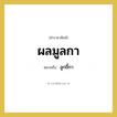 ผลมูลกา หมายถึงอะไร?, คำราชาศัพท์ ผลมูลกา หมายถึง ลูกขี้กา หมวดหมู่ สัตว์และเบ็ดเตล็ด หมวด สัตว์และเบ็ดเตล็ด