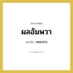 ผลอัมพวา หมายถึงอะไร?, คำราชาศัพท์ ผลอัมพวา หมายถึง ผลมะม่วง หมวดหมู่ อาหาร หมวด อาหาร