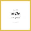 ผลอุลิด หมายถึงอะไร?, คำราชาศัพท์ ผลอุลิด หมายถึง ลูกแตงโม หมวดหมู่ สัตว์และเบ็ดเตล็ด หมวด สัตว์และเบ็ดเตล็ด