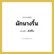 ผักอีริ้น คำราชาศัพท์คือ?, หมายถึง ผักนางริ้น หมวดหมู่ สัตว์และเบ็ดเตล็ด หมวด สัตว์และเบ็ดเตล็ด