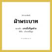 แทนชื่อที่พูดด้วย คำราชาศัพท์คือ?, หมายถึง ฝ่าพระบาท หมวดหมู่ สรรพนาม ใช้กับ เจ้านายชั้นสูง หมวด สรรพนาม