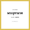 พระจุฑามาศ หมายถึงอะไร?, คำราชาศัพท์ พระจุฑามาศ หมายถึง ผมมวย