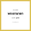 พระชามาดา หมายถึงอะไร?, คำราชาศัพท์ พระชามาดา หมายถึง ลูกเขย หมวดหมู่ เครือญาติ หมวด เครือญาติ