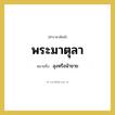 ลุงหรือน้าชาย คำราชาศัพท์คือ?, หมายถึง พระมาตุลา หมวดหมู่ เครือญาติ หมวด เครือญาติ