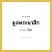 น้ำมูก คำราชาศัพท์คือ?, หมายถึง มูลพระนาสิก หมวดหมู่ ร่างกาย หมวด ร่างกาย