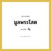 มูลพระโสต หมายถึงอะไร?, คำราชาศัพท์ มูลพระโสต หมายถึง ขี้หู