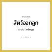 สัตว์ออกลูก หมายถึงอะไร?, คำราชาศัพท์ สัตว์ออกลูก หมายถึง สัตว์ตกลูก หมวดหมู่ คำสุภาพ หมวด คำสุภาพ
