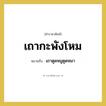 เถากะพังโหม หมายถึงอะไร?, คำราชาศัพท์ เถากะพังโหม หมายถึง เถาตูดหมูตูดหมา หมวดหมู่ สัตว์และเบ็ดเตล็ด หมวด สัตว์และเบ็ดเตล็ด
