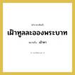 เข้าหา คำราชาศัพท์คือ?, หมายถึง เฝ้าทูลละอองพระบาท