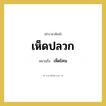 เห็ดปลวก หมายถึงอะไร?, คำราชาศัพท์ เห็ดปลวก หมายถึง เห็ดโคน หมวดหมู่ สัตว์และเบ็ดเตล็ด หมวด สัตว์และเบ็ดเตล็ด